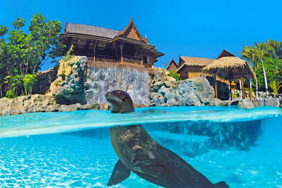 Sea Lion Island
